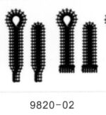 GC9820 - Imagen 2