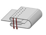 Guia vivo collareta - Imagen 3